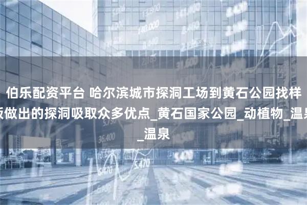 伯乐配资平台 哈尔滨城市探洞工场到黄石公园找样板做出的探洞吸取众多优点_黄石国家公园_动植物_温泉