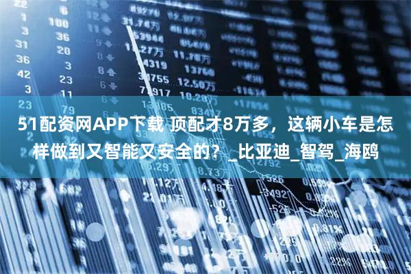 51配资网APP下载 顶配才8万多，这辆小车是怎样做到又智能又安全的？_比亚迪_智驾_海鸥